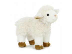 Plush sheep 23 cm - plush toys