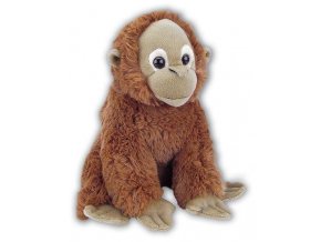 E2378DCF 29D8 4746 8B3D 0A404F5EC13A orangutan plys ark555 4