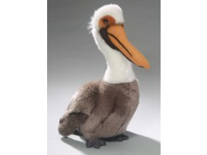 peloik