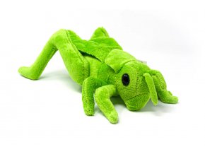 Plush grasshopper 22 cm - plush toys