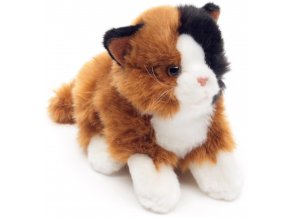 Plush cat 28 cm - plush toys