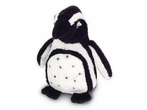 MS999 PenguinHumboldt