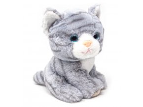 Plush cat 21 cm - plush toys