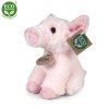 Plush pig 16 cm - plush toys