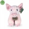 Plush pig 16 cm - plush toys