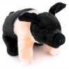 Plush pig 25 cm - plush toys