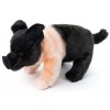 Plush pig 25 cm - plush toys