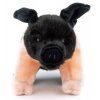 Plush pig 25 cm - plush toys