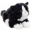 Plush cat with sound 23 cm - plush toys
