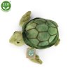 Plyšová želva 30 cm - plyšové hračky