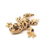 Plush gecko 25 cm - plush toys
