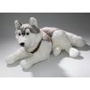 Plyšový husky velký 65 cm - plyšové hračky