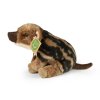 Plush wild boar 20 cm - plush toys