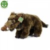 Plush wild boar 37 cm - plush toys