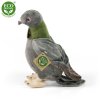 Plush pigeon 25 cm - plush toys