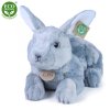 Plush rabbit 30 cm - plush toys