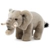 Plush elephant 30 cm - plush toys