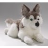 Plush husky dog ??34 cm - plush toys