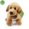 Plush Labrador 20 cm - plush toys