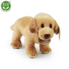 Plush Labrador 20 cm - plush toys