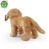 Plush Labrador 20 cm - plush toys