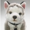 Plush husky 24 cm - plush toys