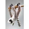 Plyšový lemur 42 cm - plyšové hračky