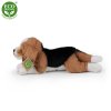 Plush beagle dog 20 cm - plush toys