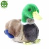 Plush duck 22 cm - plush toys