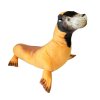 Plush sea lion large 60 cm - plush toys