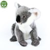 Plush koala 25 cm - plush toys