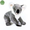 Plush koala 25 cm - plush toys