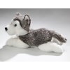 Plush husky 23 cm - plush toys