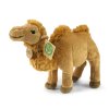 Plush camel 25 cm - plush toys