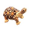Plush star tortoise 25 cm - plush toys