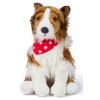 Plush dog collie with scarf 26 cm - plush toys