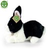 Plush rabbit 25 cm - plush toys