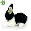 Plyšový králík 25 cm - plyšové hračky