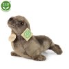 Plush sea lion 24 cm - plush toys