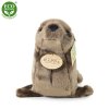 Plush sea lion 24 cm - plush toys