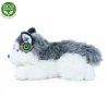 Plush husky dog ??30 cm - plush toys