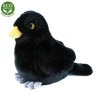 88DAB9C8 C4DB 4BF3 A733 F3FE9EFD8CC7 kos plys r204553