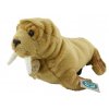 Plush walrus 26 cm - plush toys