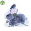 Plush rabbit 23 cm - plush toys
