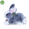 Plyšový králík 23 cm - plyšové hračky