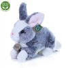 Plush rabbit 23 cm - plush toys