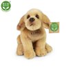 Plush Labrador 20 cm - plush toys
