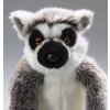 lemur