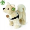 Plyšový pes Akita Inu 30 cm - plyšové hračky
