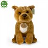 PLUSH DOG STAFFORDSHIRE BULL TERRIER SITTING 30 CM